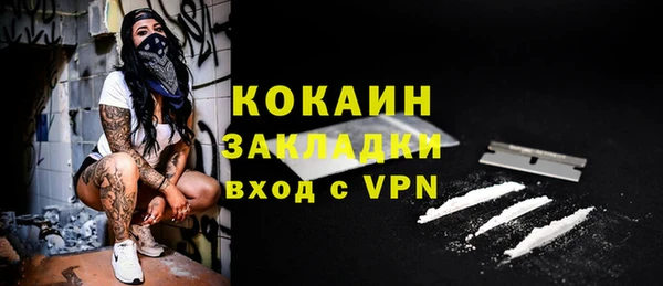 ПСИЛОЦИБИНОВЫЕ ГРИБЫ Богданович