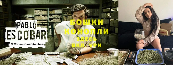 ПСИЛОЦИБИНОВЫЕ ГРИБЫ Богданович