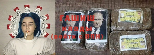 ПСИЛОЦИБИНОВЫЕ ГРИБЫ Богданович
