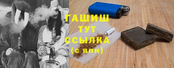 ПСИЛОЦИБИНОВЫЕ ГРИБЫ Богданович