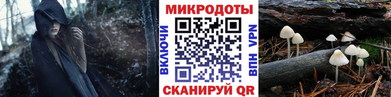 Купить закладки Нижний Ломов Псилоцибиновые грибы Psilocybine cubensis